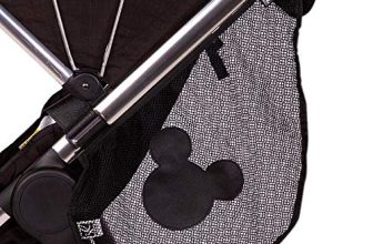 Disneyland Stroller